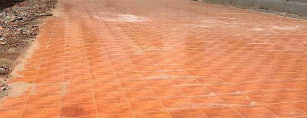 Cho thuê 1000m2 mặt tiền Phạm Văn Thuận giá thuê chỉ 35tr -03