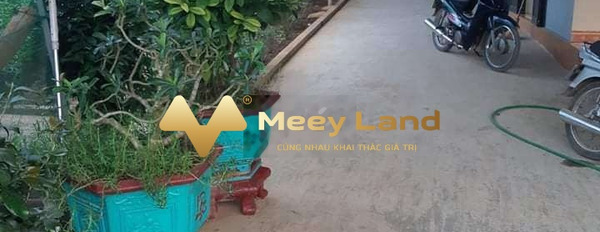Bán nhà tại xã Hùng An, Bắc Quang, Hà Giang. Diện tích 1000m2, giá 900 triệu-02