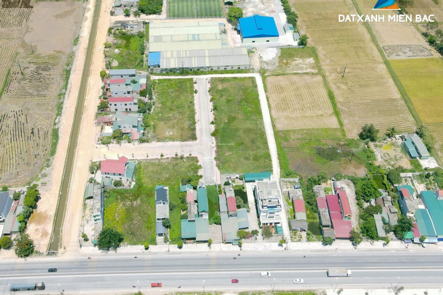 Giá cực sốc chỉ 1.2 tỷ bán đất có diện tích rộng 160m2 vị trí đặt vị trí nằm ở Tân Phong, Quảng Xương-01