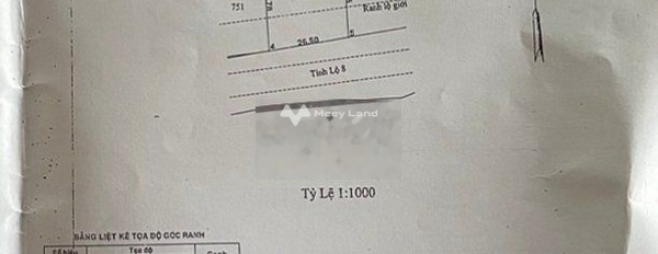 Công việc cấp bách cần bán mảnh đất, 5000m2 giá bán từ 65 tỷ vị trí mặt tiền nằm ngay Tỉnh Lộ 8, Củ Chi thuận tiện đi lại-02