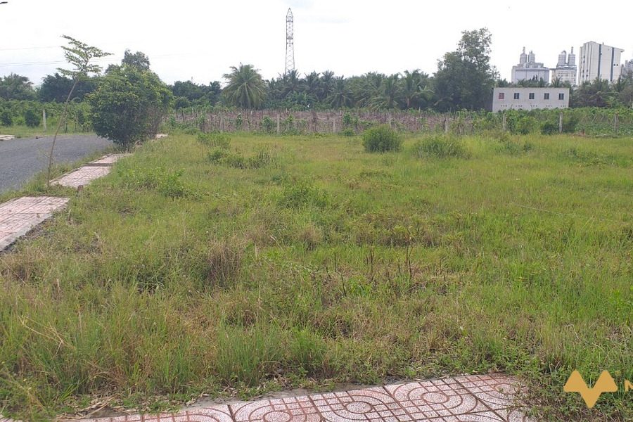 Cần bán đất nền liền kề khu công nghiệp Tân Hương - Tiền Giang-01