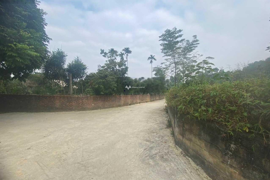 Bán mảnh đất 1800m2 tại Yên Bình, Thạch Thất-01