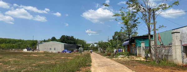 Đồng Phú, Bình Phước bán đất giá bán giao động từ 450 triệu diện tích vừa phải 225m2-02