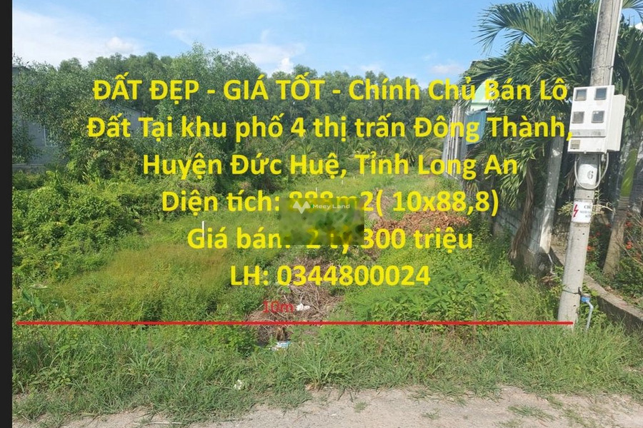 Từ 2.3 tỷ bán đất diện tích cụ thể 888m2 vị trí thuận lợi ngay ở Đông Thành, Long An-01