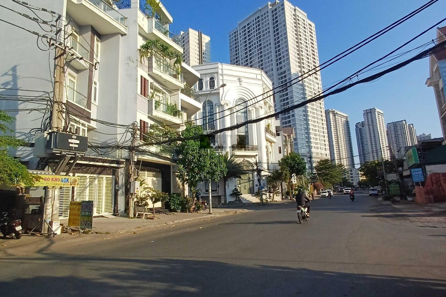 Bán nhà diện tích gồm 80m2 vị trí thuận lợi tại Tân Hưng, Hồ Chí Minh giá bán cực sốc từ 14 tỷ trong căn nhà này gồm 4 phòng ngủ, 4 WC-01