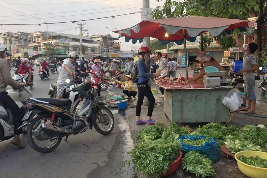 Diện tích 623m2 bán nhà ở tọa lạc ngay tại Gò Dầu, Tây Ninh với chiều ngang đường 12 mét giá tốt nhất-01