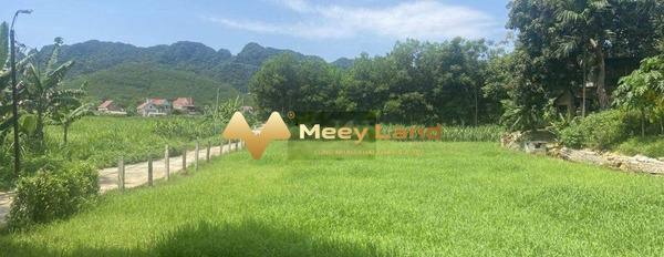 Xã Hải Long, Tỉnh Thanh Hóa bán đất giá vô cùng rẻ 1.8 tỷ với dt khoảng 1200 m2-03