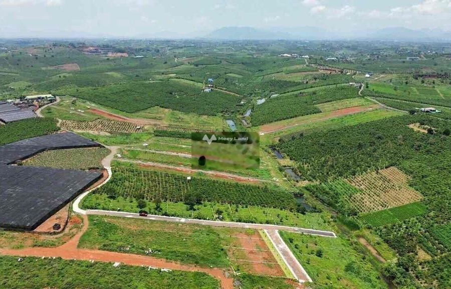 Giá cực sốc từ 399 triệu bán đất diện tích rộng lớn 500m2 vị trí mặt tiền tọa lạc trên Bảo Lộc, Lâm Đồng-01