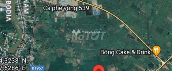Khánh Bình, An Giang bán đất giá sang tên chỉ 880 triệu diện tích tổng 105m2-03
