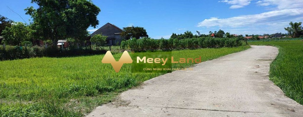 Vị trí ngay Quốc Lộ 1A, Quảng Nam bán đất giá công khai 240 triệu diện tích rộng lớn 134 m2-02