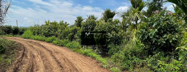 Krông Năng, Đắk Lắk bán đất giá gốc 160 triệu có diện tích quy ước 300m2-03