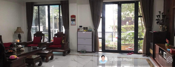 Về quê định cư bán liền kề mặt tiền tọa lạc gần Hoàng Văn Thụ, Hà Nội bán ngay với giá thương lượng 17 tỷ diện tích rộng rãi 100m2 pháp lý nhanh-02