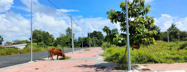 Bán đất mặt tiền đường nhà nước dẫn cao tốc Biên Hòa-Vũng Tàu, sổ sẵn không dính quy hoạch, Bà Rịa Vũng Tàu-02