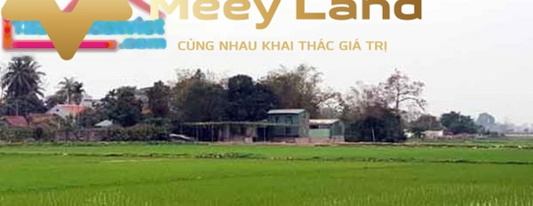 Bán lô đất 48,6m2, Hưng Giáo, Tam Hưng, Thanh Oai-03