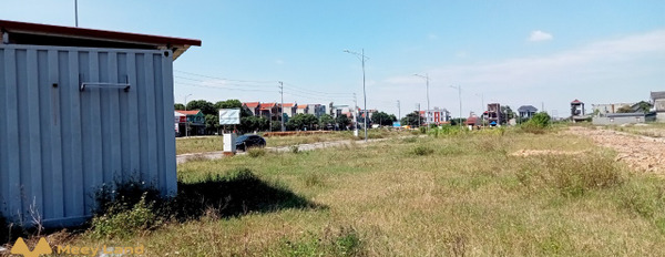 Bán đất tại Lạng Giang, Bắc Giang, đường rộng 19m, 90m2-03