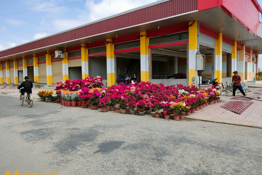 Sở hữu ngay Shophouse mới 100% tại chợ thị trấn Thạnh Phú, Bến Tre-01