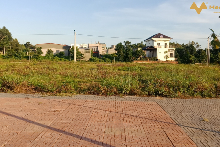 Bán đất mặt tiền đường nhà nước dẫn cao tốc Biên Hòa-Vũng Tàu, sổ sẵn không dính quy hoạch, Bà Rịa Vũng Tàu-01