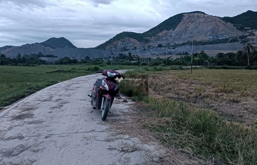 Bán đất 100 triệu Giải Phóng, Cam Phước Đông diện tích dài 983m2-01