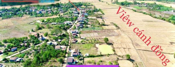 Ở Cư Kuin, Đắk Lắk bán đất 188 triệu có diện tích sàn 350m2-03