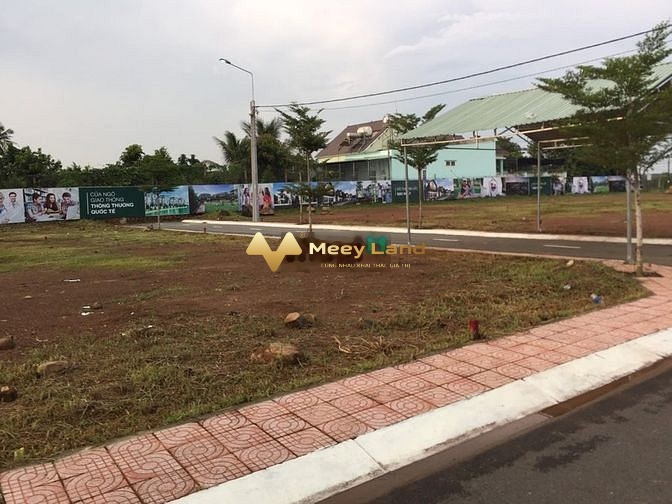 Bán đất diện tích 100m2 tại Long Bình, Biên Hòa-01