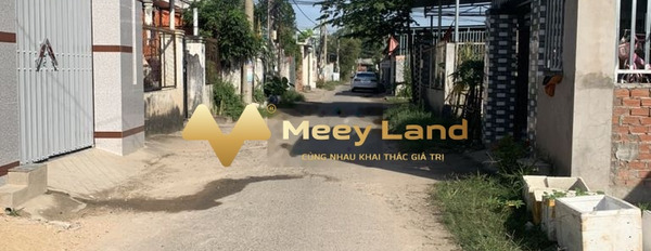 Bán đất tại Mỹ Xuân, Phú Mỹ, 300m2-03