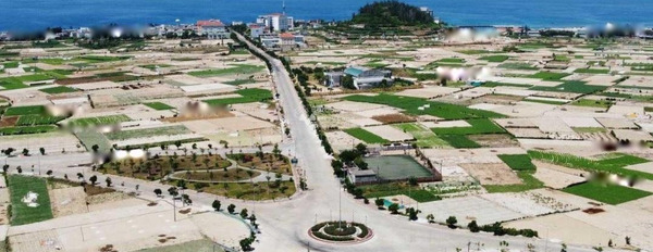 240 triệu bán đất với tổng diện tích 112m2 vị trí mặt tiền tại An Hải, Lý Sơn-03