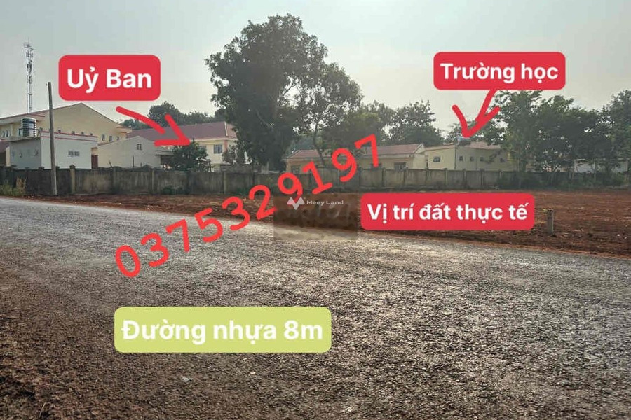 Bán đất 190 triệu Lộc An, Bình Phước với diện tích rộng 250m2-01