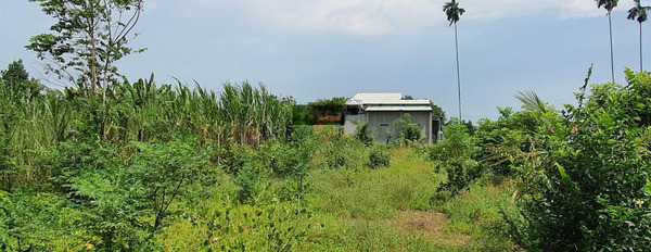 Bán nhà mặt tiền 2169m2 KP Lộc Phước gần chợ Lộc Hưng thị xã Trảng Bàng Tây Ninh -03
