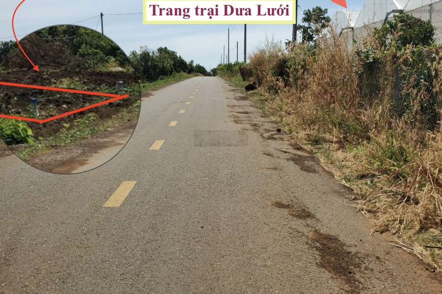 Bán lô đất MT đường nhựa 120m2 - 630 triệu tại Phước Long Thọ - H. Đất Đỏ - BRVT. SHR -01