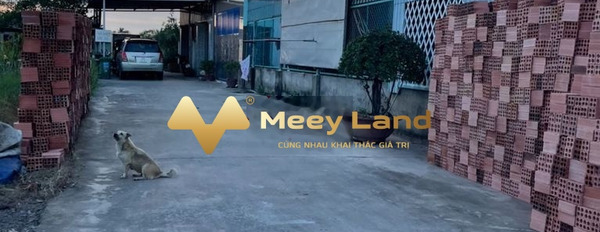 Gần Nguyễn Văn Tỏ, An Hòa bán đất giá chốt nhanh 1.6 tỷ với dt thực 95m2-02