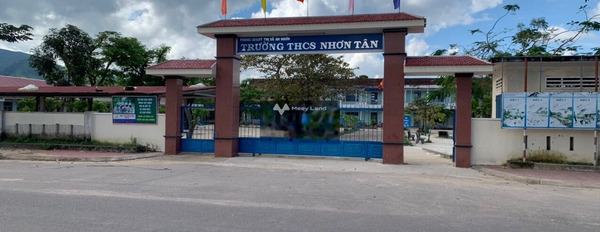 Bán đất 1.4 tỷ Nhơn Tân, Bình Định diện tích chuẩn 160m2-03