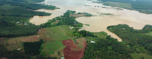 Ở Long Bình, Bình Phước bán đất 379 triệu, hướng Đông Bắc diện tích đúng với trên ảnh 8999m2-03