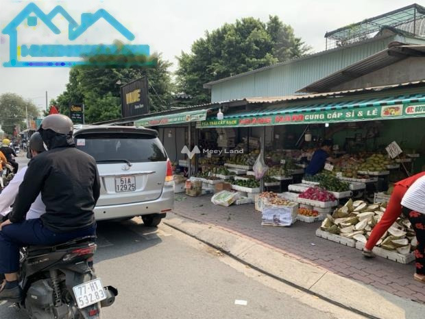 Mặt tiền tọa lạc trên Phước Long, Bình Phước bán đất giá hạt dẻ từ 530 triệu Có tổng diện tích 520m2-01