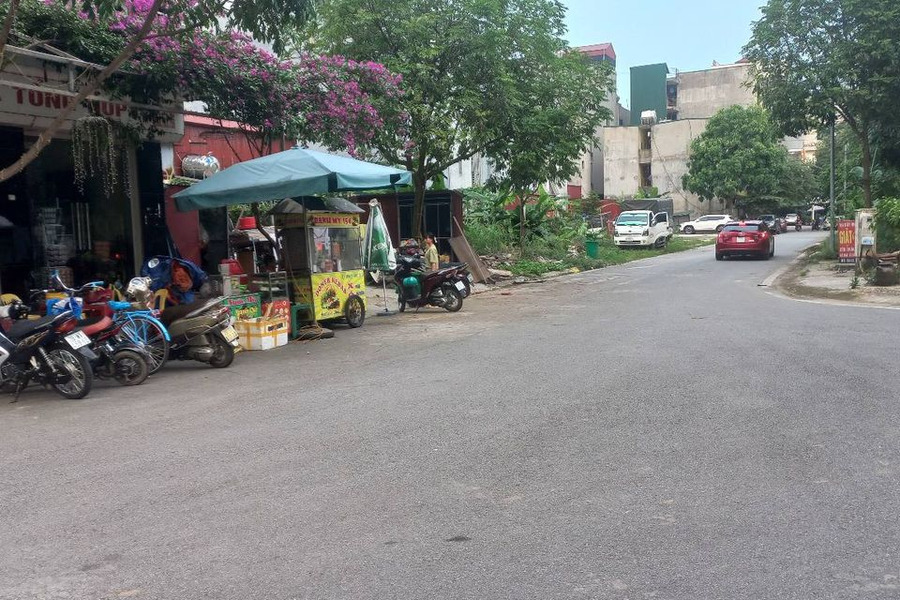 Mua bán đất huyện Gia Bình tỉnh Bắc Ninh giá 3 tỷ-01