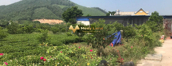 5700m đất làm trang trại, nhà vườn sẵn nhà tại Tân Cương, Thái Nguyên-02