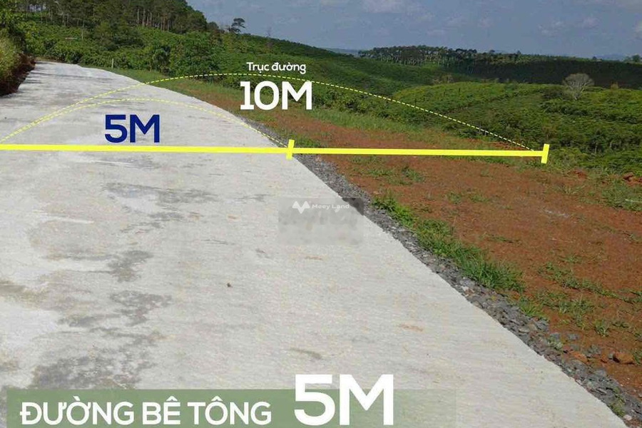 Từ 389 triệu bán đất diện tích rộng rãi 1060m2 vị trí thuận lợi tọa lạc gần Bảo Lâm, Lâm Đồng, hướng Đông Nam-01