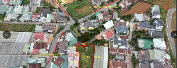 Giá khoảng 25 tỷ bán đất có diện tích sàn 524m2 vị trí thuận lợi tọa lạc ngay ở Đà Lạt, Lâm Đồng-02