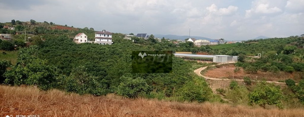 Giá bán mong muốn chỉ 1.2 tỷ bán đất có diện tích trung bình 1670m2 Nằm ngay trên Lâm Hà, Lâm Đồng-02