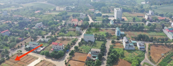 Gia đình khó khăn bán mảnh đất, 88m2 giá bán gốc 2.02 tỷ vị trí đặt vị trí nằm tại Phú Cát, Quốc Oai, hướng Đông - Bắc liên hệ chính chủ-02