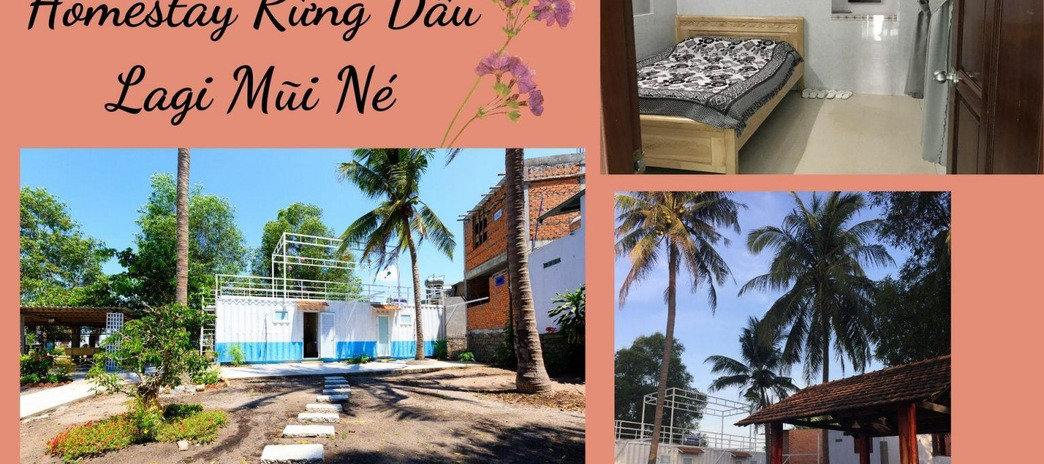 Cho thuê Homestay Rừng Dầu Lagi