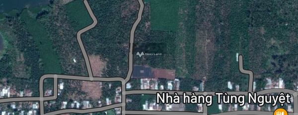 Với diện tích tiêu chuẩn 1000m2 bán đất giá hữu nghị từ 1.5 tỷ, hướng Đông-02