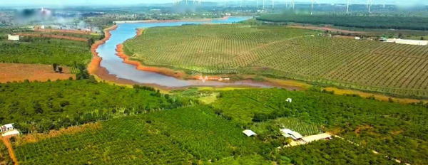 Tọa lạc gần Bắc Bình, Bình Thuận bán đất giá rẻ từ 958 triệu diện tích đúng với trên ảnh 6844m2-02