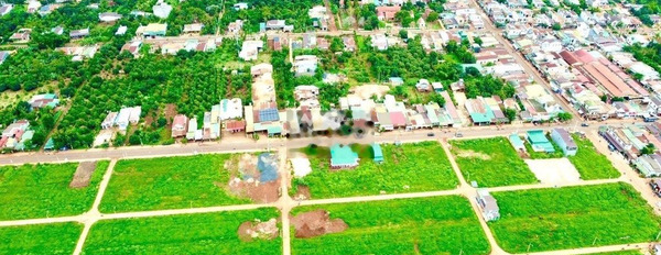 Tuy Phong, Bình Thuận bán đất giá cơ bản từ 550 triệu có một diện tích 132m2-02