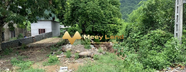 Vị trí đẹp tại Huyện Kim Bảng, Tỉnh Hà Nam, bán đất giá siêu hữu nghị 2,2 tỷ, diện tích 2300m2-03