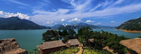 Lộc Quang, Bình Phước 250 triệu bán đất với diện tích chuẩn 300000m2-03