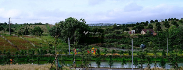 Lý Thái Tổ, Bảo Lộc 600 triệu bán đất có diện tích 200m2-02