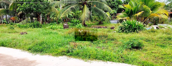 Chính chủ bán mảnh đất, 495m2 giá bán cực mềm chỉ 1.5 tỷ vị trí thuận lợi tọa lạc ở Vĩnh Phú, Vĩnh Phú lh xem trực tiếp-03