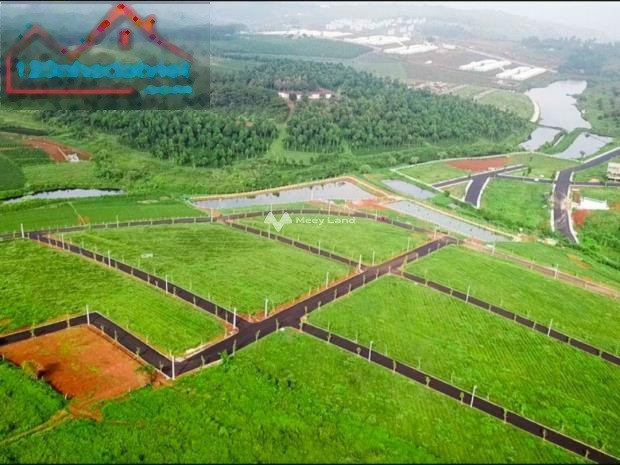 Diện tích quy đổi 300m2 bán đất giá thỏa thuận từ 978 triệu-01