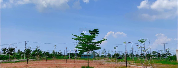Tọa lạc ngay trên Hàm Thắng, Bình Thuận bán đất giá bán đề cử chỉ 800 triệu diện tích quy đổi 100m2-03