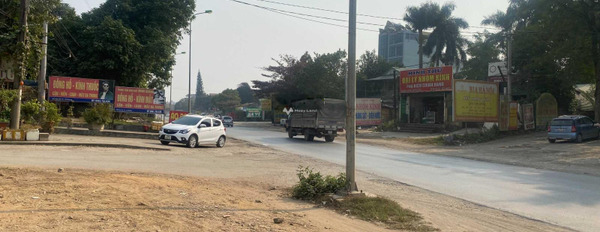 Bán đất tại Đường 21A, Hà Nội. Diện tích 500m2-02